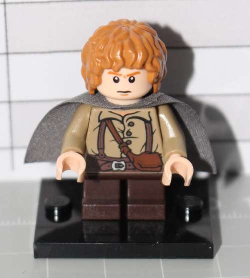 Lego Samwise Gamgee (inc display box and plate)