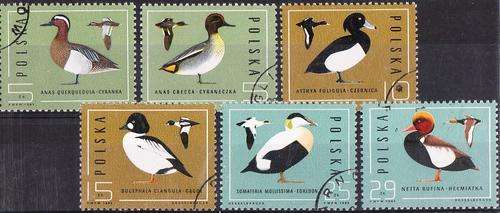 Poland  1985  (6) used