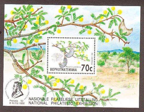 Bophuthatswana  1992  M/S ** um  Acacia Trees