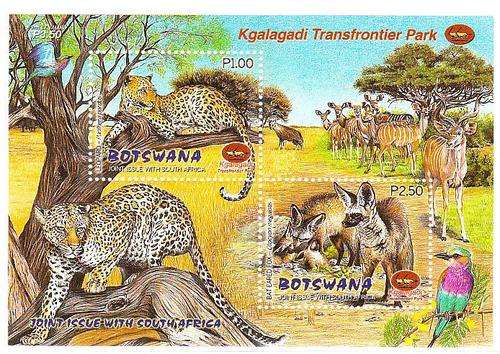 Botswana & Bechaunaland  Kgalagadi Transfrontier Park