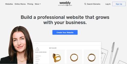 We will design a website for you or your company.