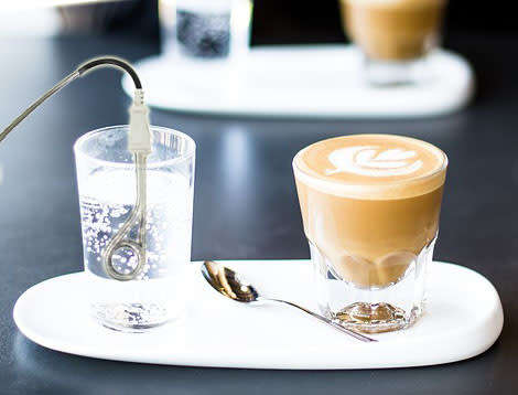 Quick Travel Pocket Cup Heater Element(110v) - Boils Cup Water In Less Than One Minute