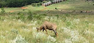 FULL WEEK@ Crystal Springs 24-31 JANUARY2020 (3 Bed 8 Sleeper)Near Pilgrim's Rest (FRI TILL FRI)