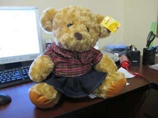 stunning big teddy bear +-33cm tall with clothes on