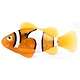 Robo fish - great fun in the water