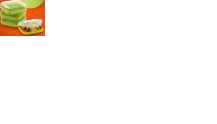 4 Covered Picnic Plates - Tupperware