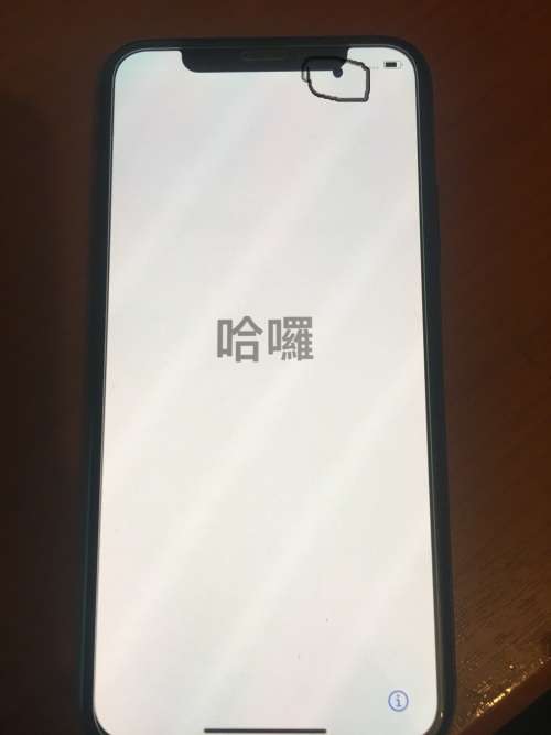 iPhone XS || 64GB || Space Grey || MINT Condition || Scratchless - Read