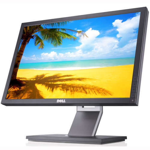 Dell P1911 Monitor