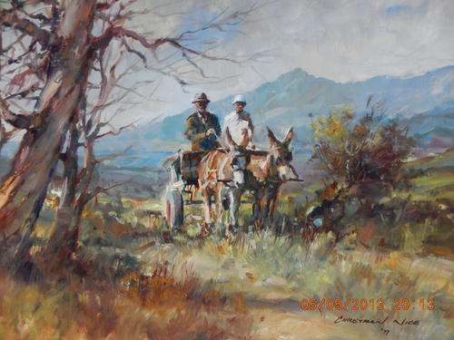 Christiaan Nice Investment