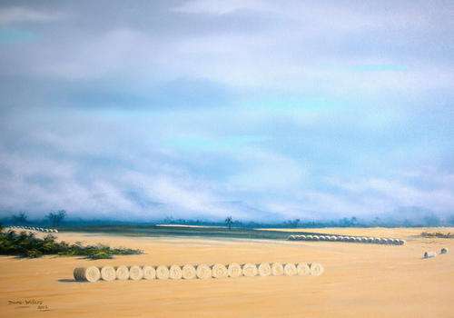 DANE WILLERS Original Oil: "Sunripe"