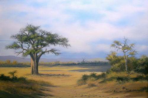 "Baobab" by DANE WILLERS. (Gallery price: R12500.00) SPECIAL OFFER