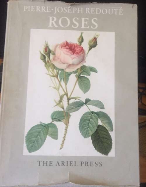 PIERRE-JOSEPH REDOUTE ROSES