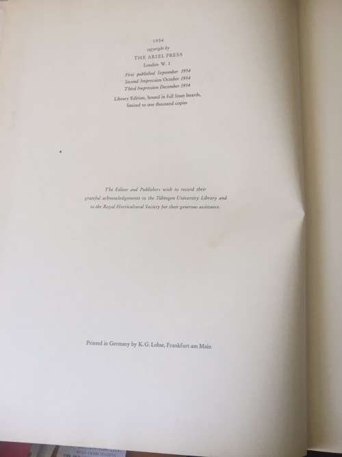 PIERRE-JOSEPH REDOUTE ROSES