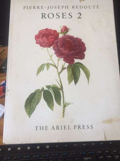 PIERRE-JOSEPH REDOUTE ROSES 2