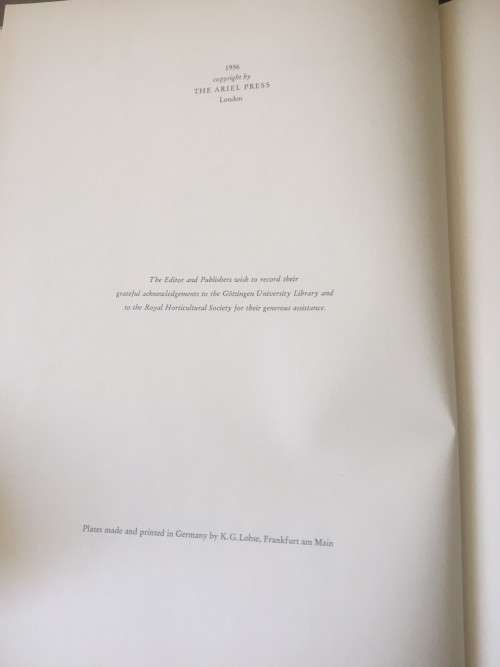 PIERRE-JOSEPH REDOUTE ROSES 2