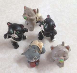 5 x Kitten in my pocket