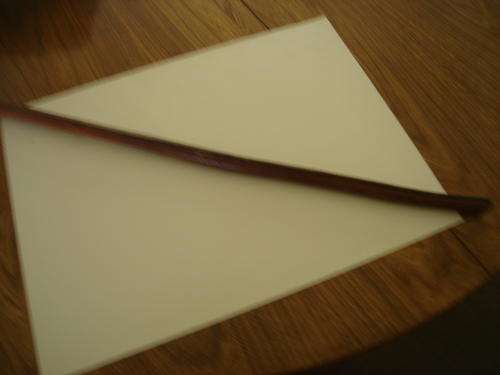 BSAP OFFICERS "SWAGGER STICK" - LEATHER