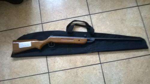 Pellet gun shoots 375yard