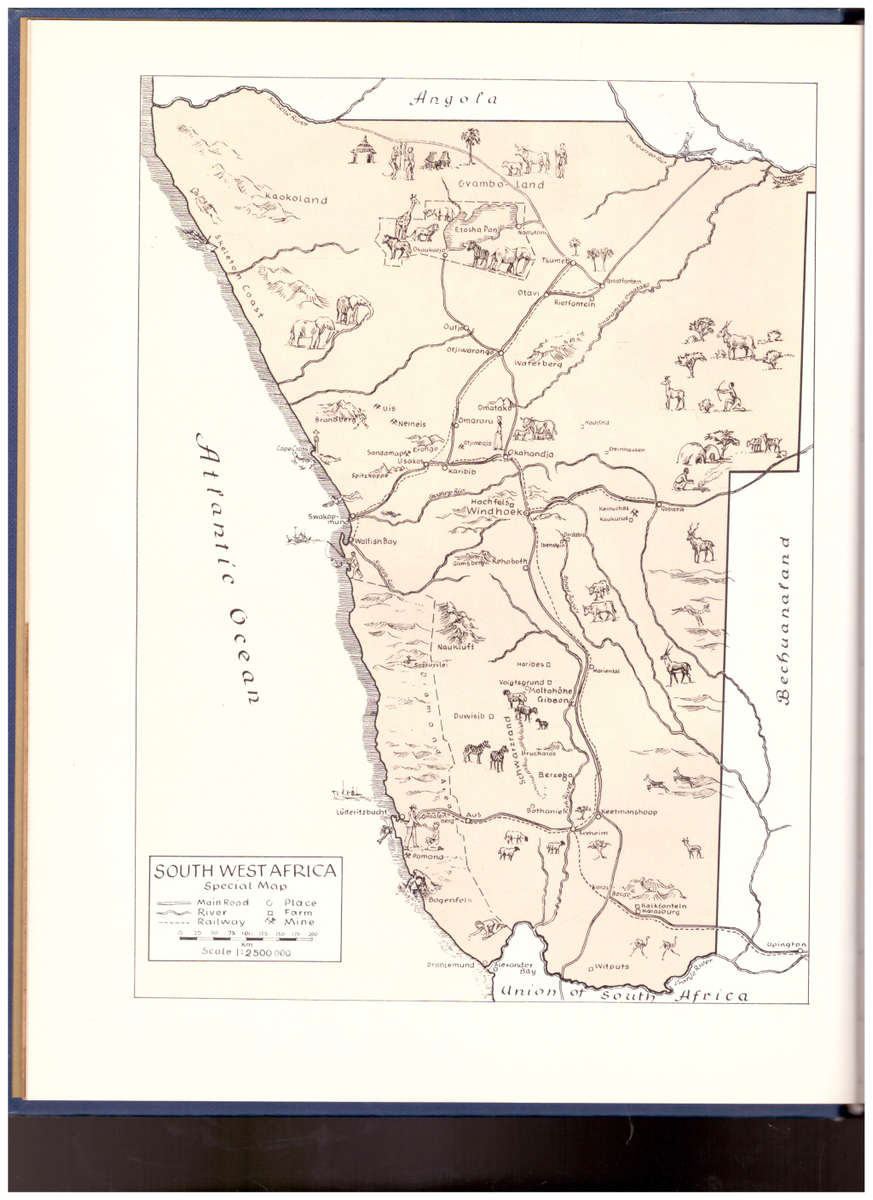 DIAMONDS IN THE DESERT by OLGA LEVINSON