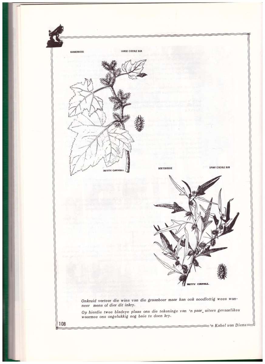 O.T.K 1923-1973, `N KABEL VAN DIENS