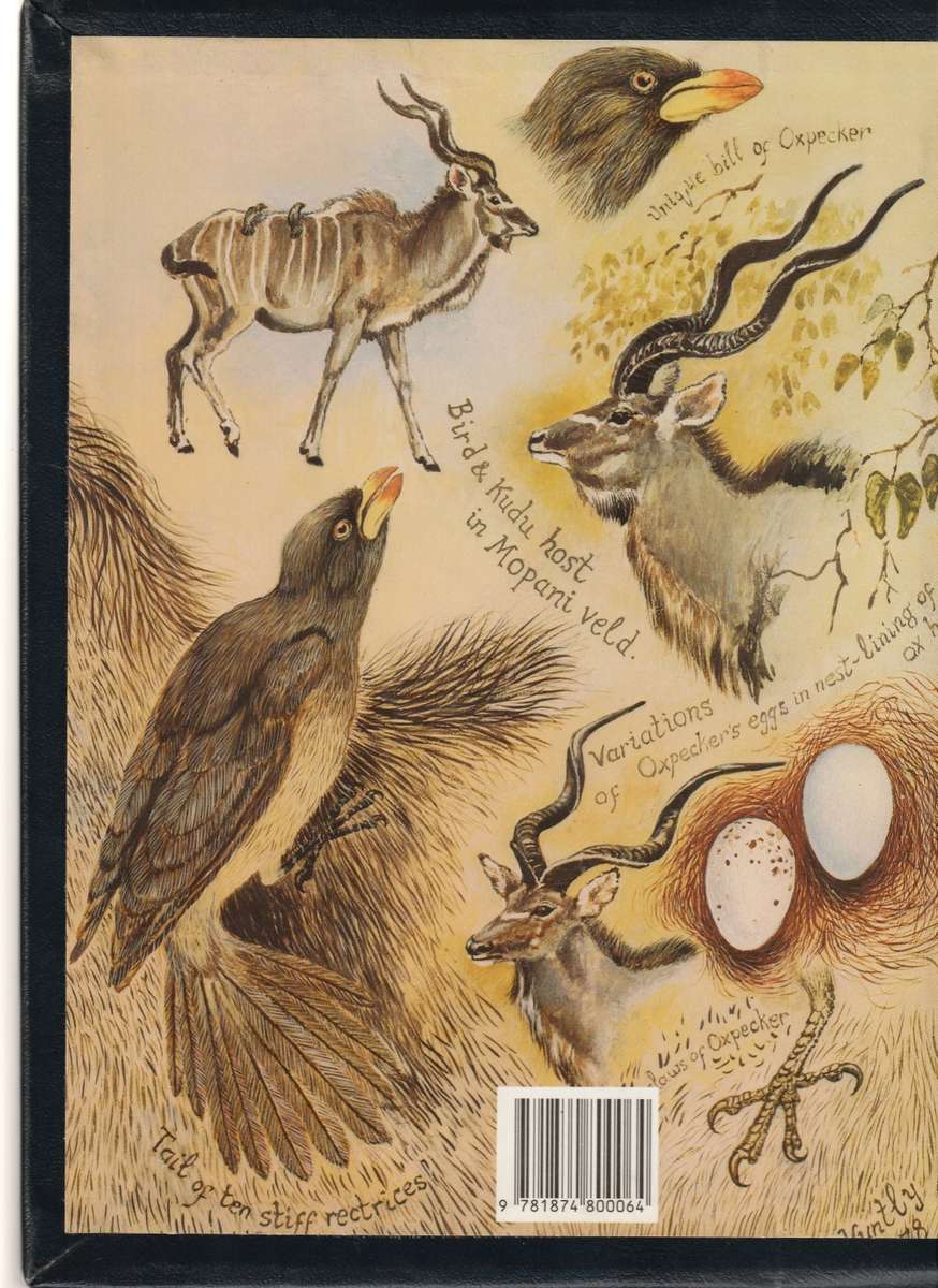 JEFF HUNTLEY`S AFRICAN WILDLIFE SKETCHES COLLECTORS ED.  1 ST ED. NR. 1 OF 250 LEATHER IN SLIP CASE