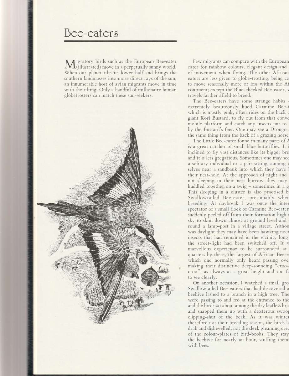 JEFF HUNTLEY`S AFRICAN WILDLIFE SKETCHES COLLECTORS ED.  1 ST ED. NR. 1 OF 250 LEATHER IN SLIP CASE