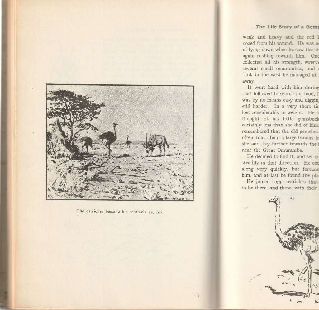 THE LIFE STORY OF A GEMSBUCK by H. ANT. ASCHENBORN *SIGNED*