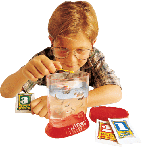 Sea Monkeys starter kit with tank