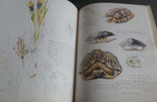 A Fynbos Year - Liz Mchon