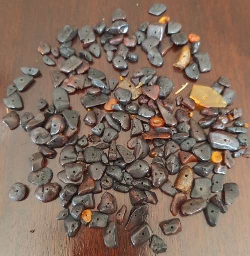 Baltic Amber Assortment