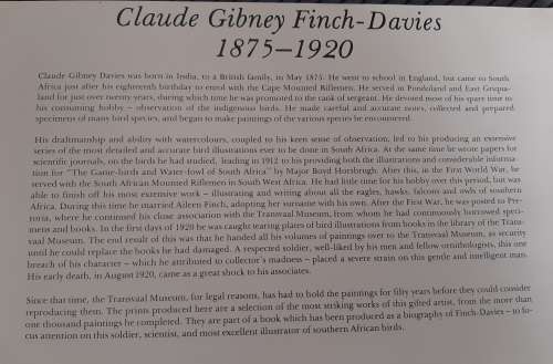 Lilac-breasted Roller Lithograph - Claude Gidney Finch-Davies 1875 - 1920