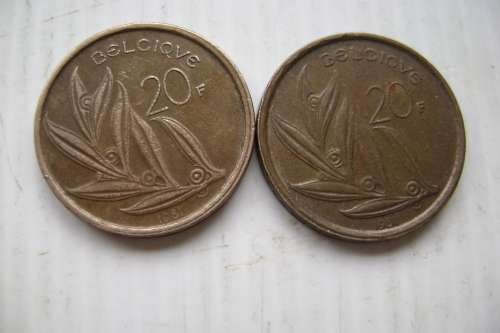 Belgium  5 Francs  1981  (Belgique)