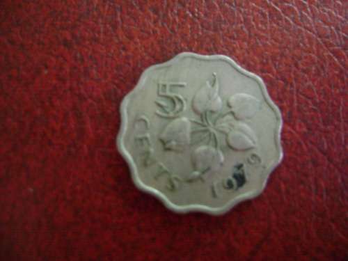 Swaziland   5 cents 1979