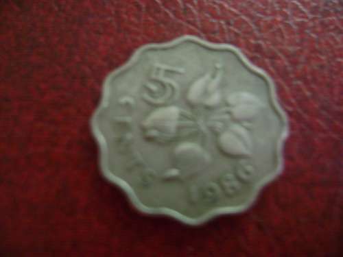 Swaziland   5 cents 1986