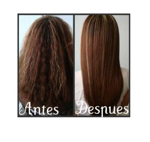 Prismax Hair Botox! Concentrate Treatment After Brazilian Keratin Blow Dry Blowout Process x5 Units