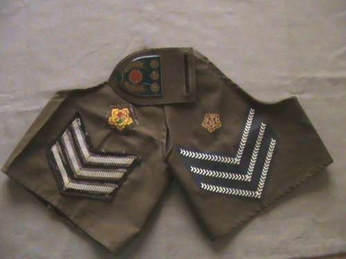 SADF odd rank badges