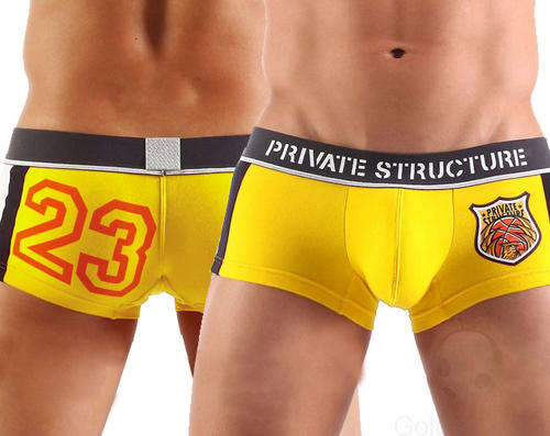SEXY Men's PRIVATE STRUCTURE Underwear