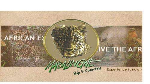 MABALINGWE Luxury Game Reserve 7 Nights! 13-20 Aug 2010. Valued at over R20 000!