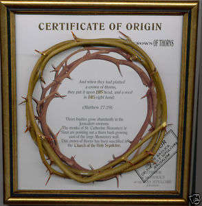 THE CROWN OF THORNS FROM HOLY LAND ISRAEL NOW GREATLY REDUCED
