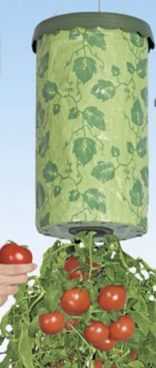 THE EASIEST WAY TO GROW TOMATOES- GROW TOMATOES UPSIDE DOWN SAVE SPACE Free Shipping !