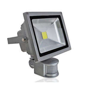 30W LED Floodlight with Sensor