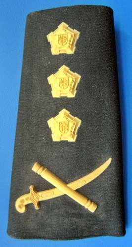 ## Lieutenant General Slip on Shoulder Title ##