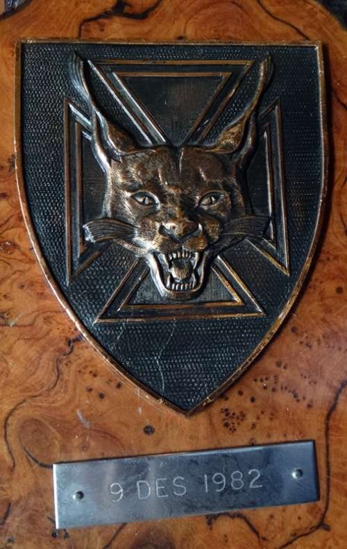 ## 7 South African Infantry Battalion  Plaque ## 1982 9th December