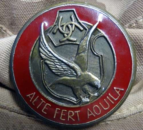 Afrikaner Weerstands Beweging Camo Swallow Tail cap with various AWB insignia