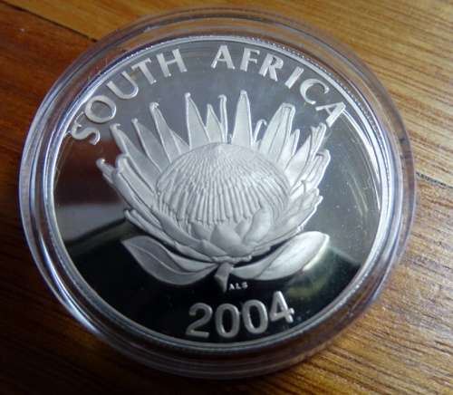 2004 Democracy Silver Proof R1. No Box or Coa. Coin encapsulated