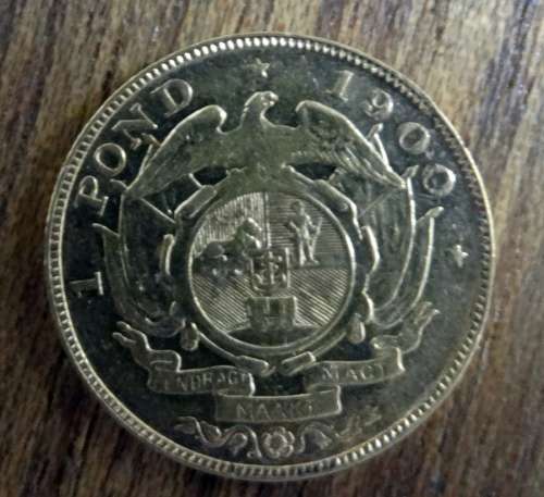 Paul Kruger 1900 Pond