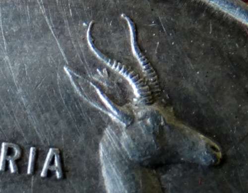 1966 Afrikaans Legend Tag Ear Springbok