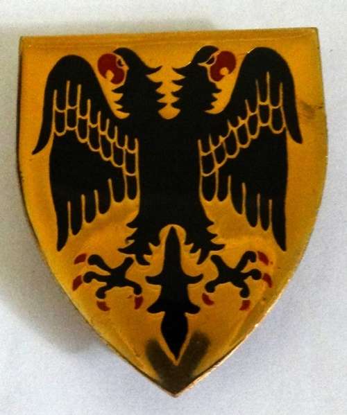 Graaf Reinet Commando Shoulder Flash (pins intact)