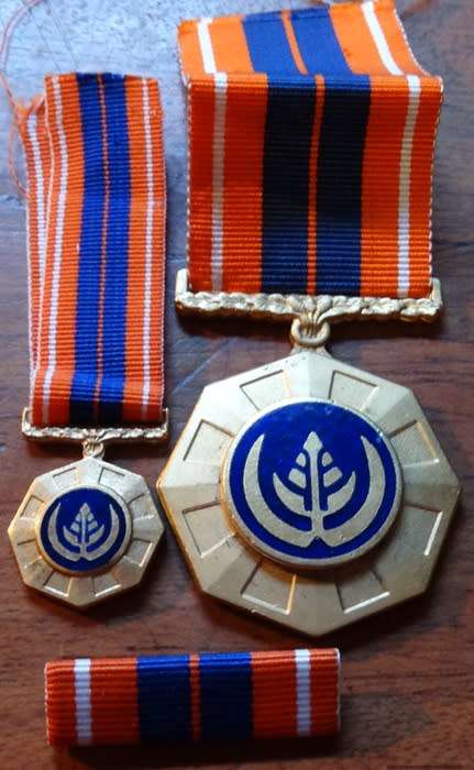 Pro Patria Medal With Miniature Fix Type