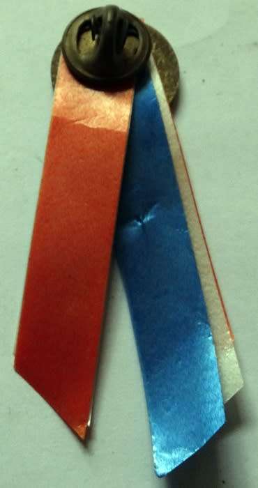 20 Year Republic Pin